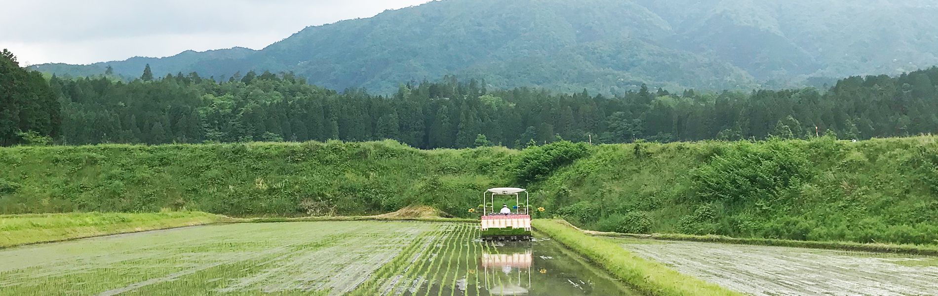 愛ある農業 I Farm