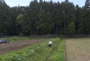 草刈り風景